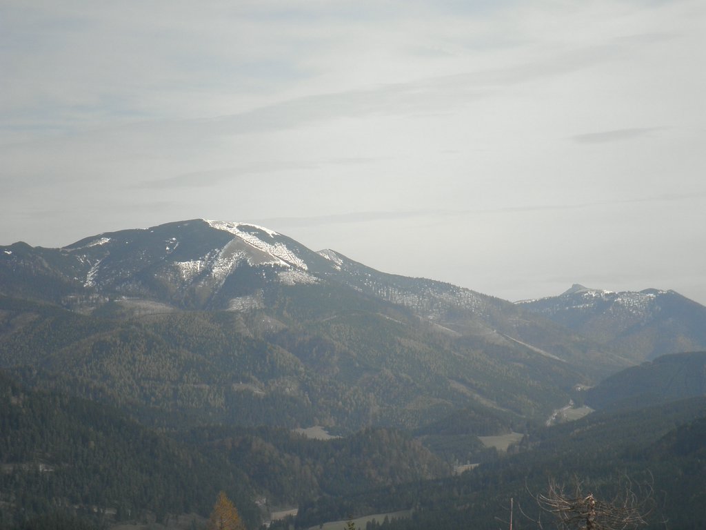 PA240014.JPG