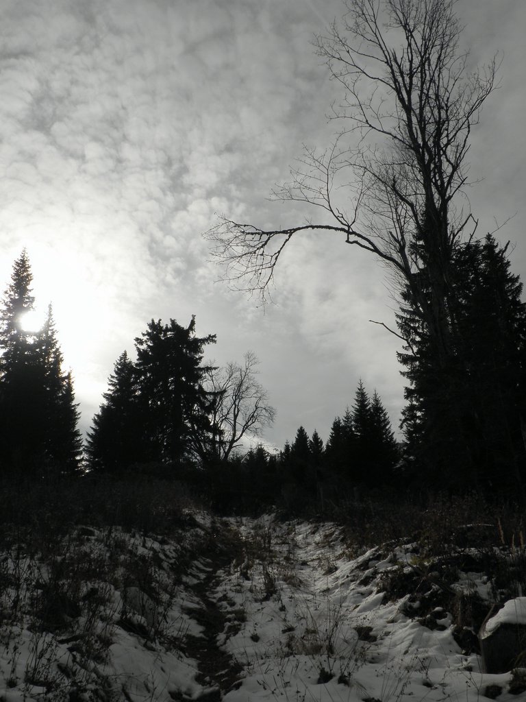 PA240016.JPG