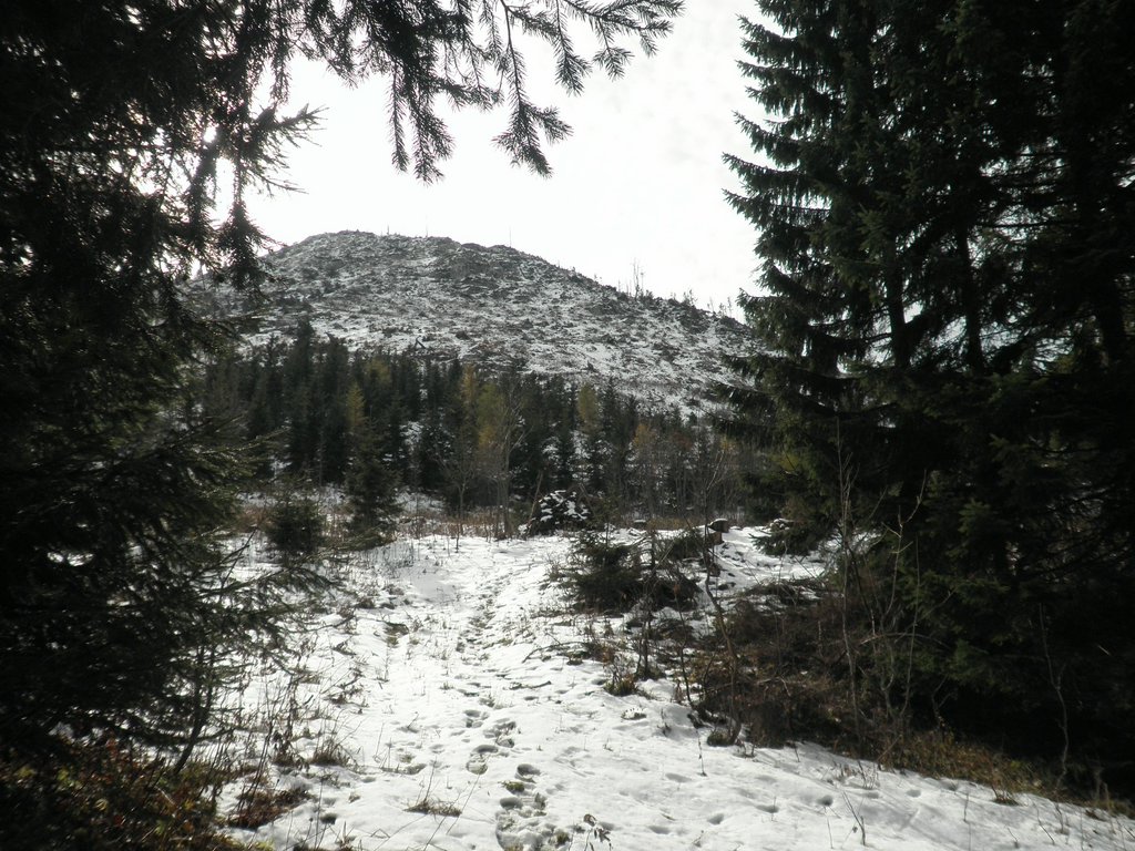 PA240017.JPG