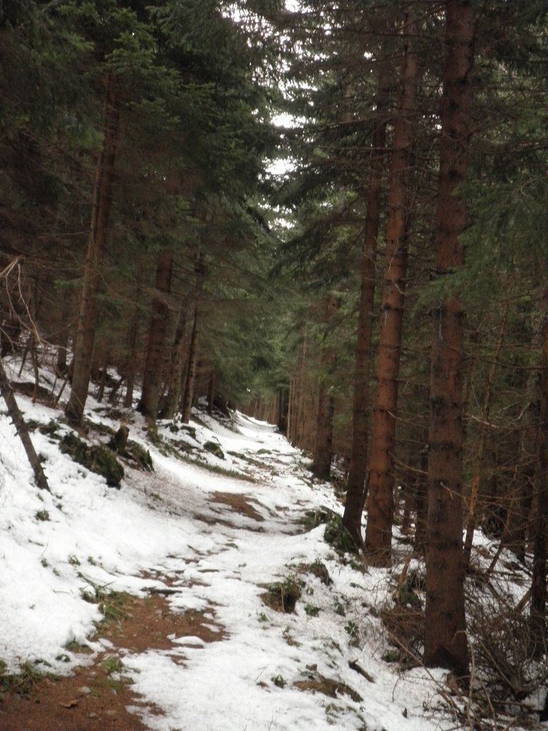 PA240019.JPG