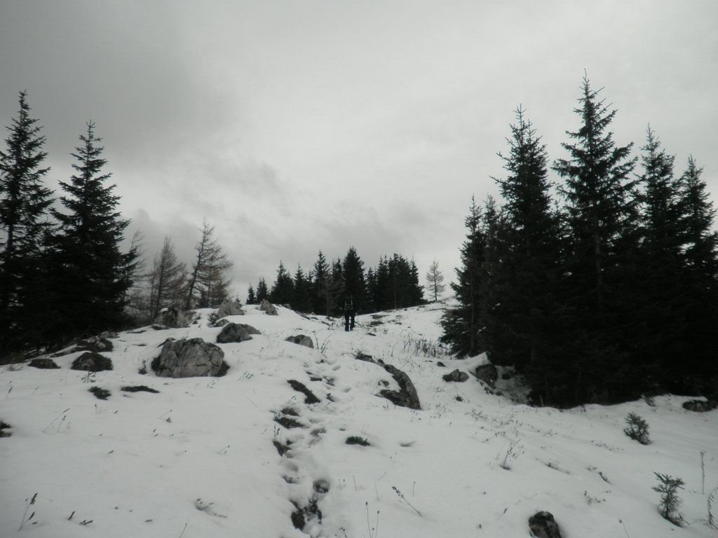 PA240023.JPG