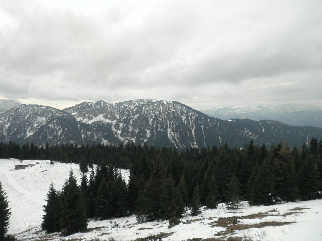 PA240026.JPG