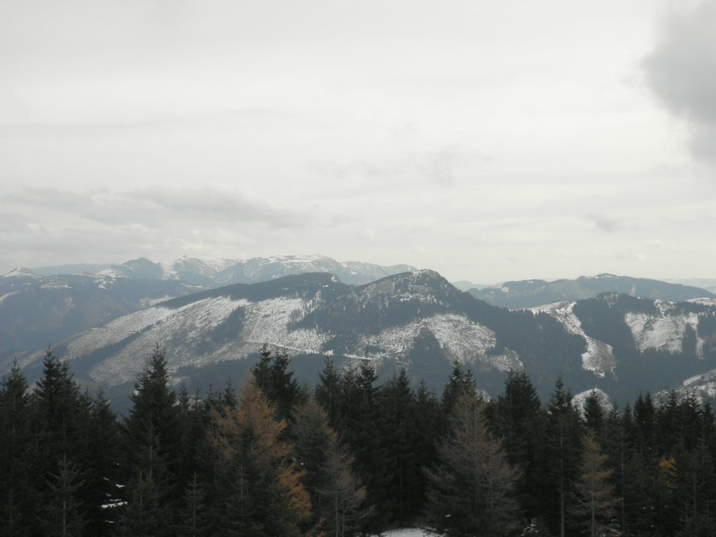 PA240027.JPG