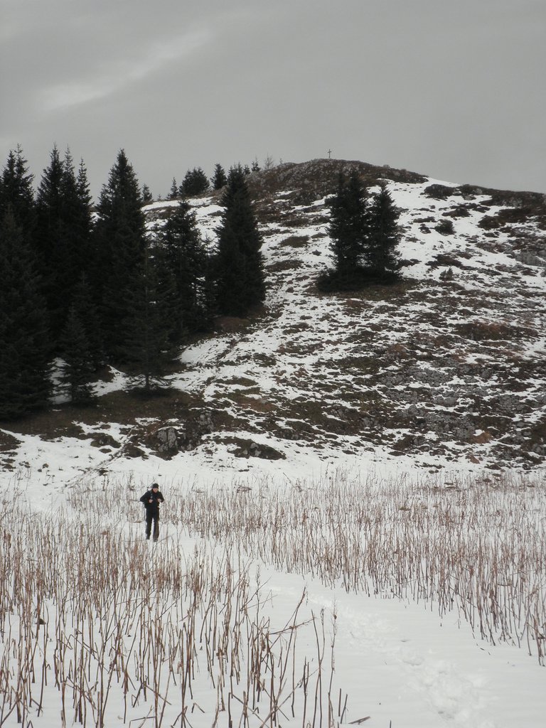 PA240029.JPG