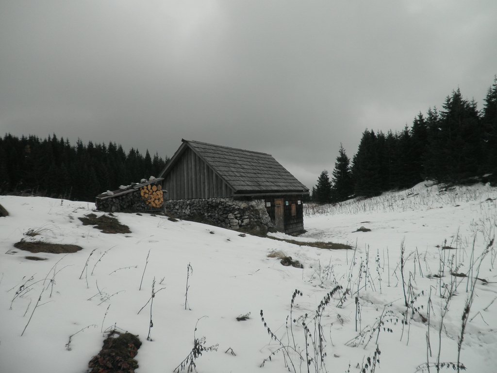 PA240043.JPG