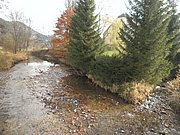 PA240002.JPG