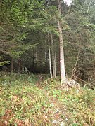 PA240006.JPG
