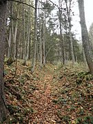 PA240007.JPG