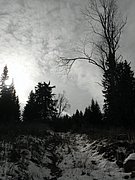 PA240016.JPG