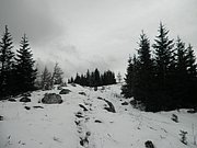 PA240023.JPG
