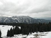 PA240026.JPG