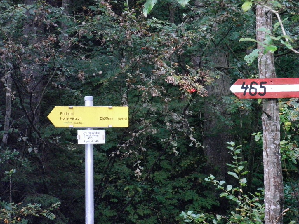 P9120001.JPG