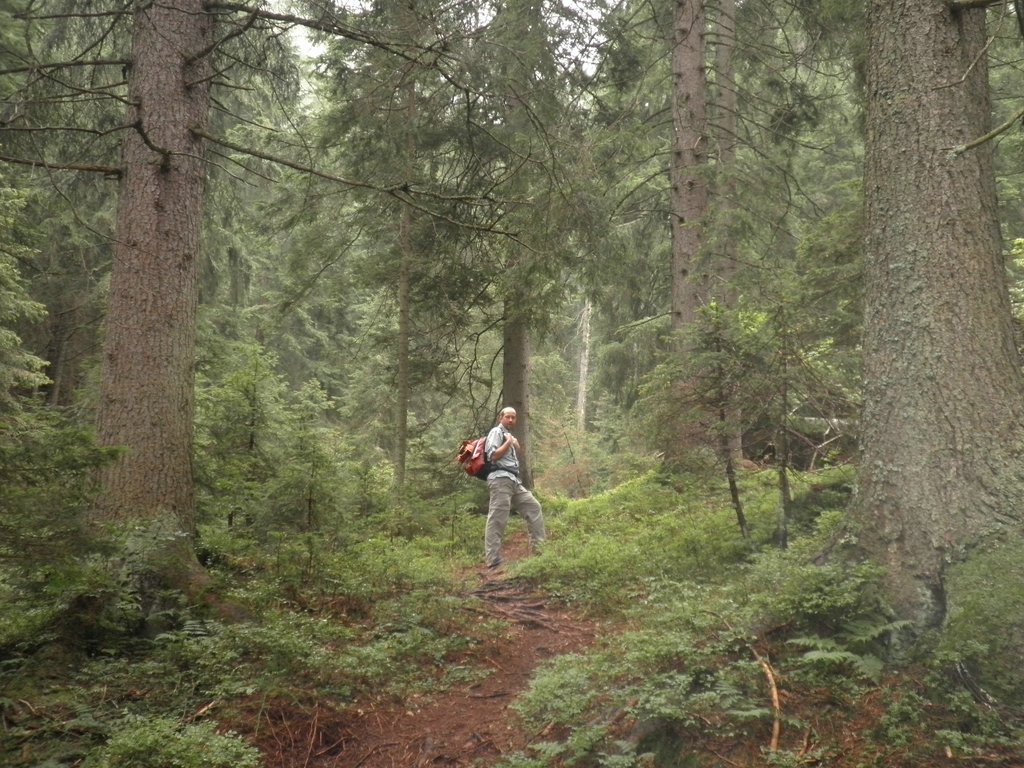 P9120008.JPG