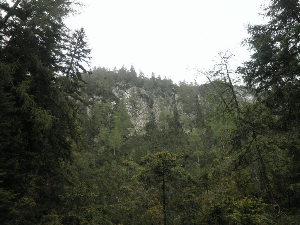 P9120010.JPG