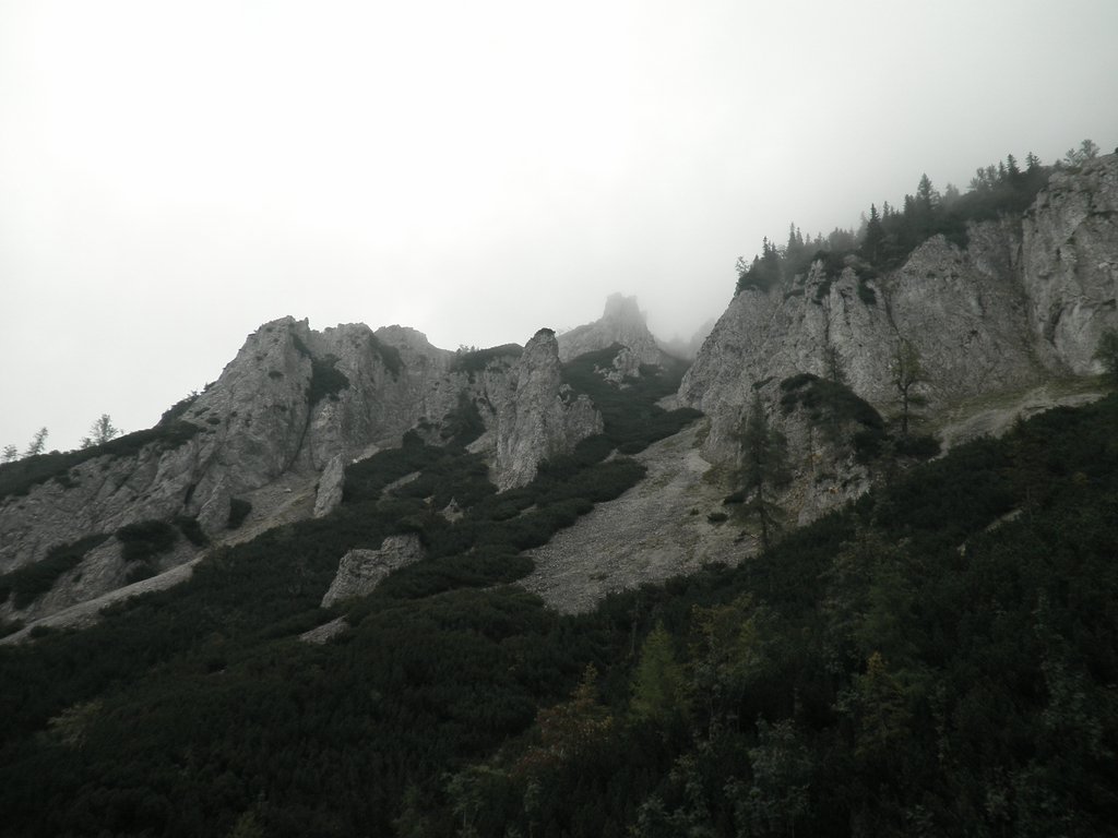 P9120018.JPG