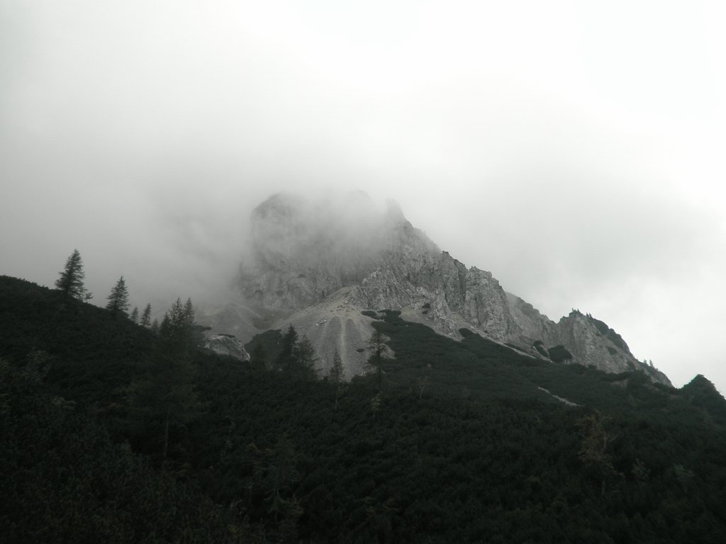 P9120023.JPG