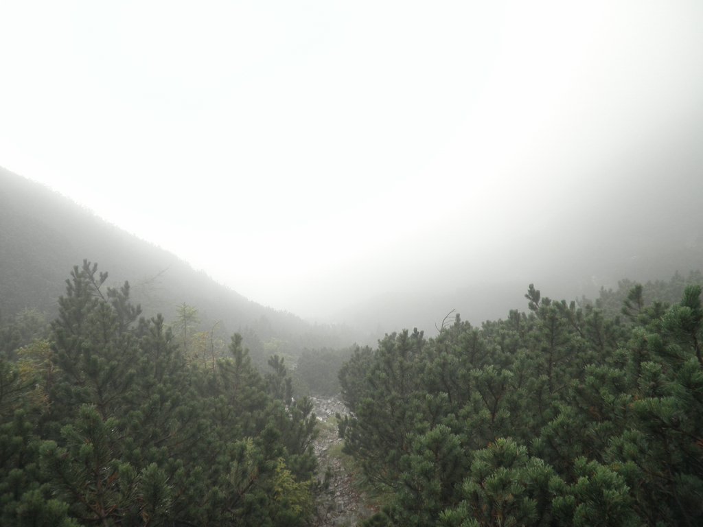 P9120027.JPG