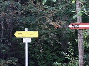 P9120001.JPG