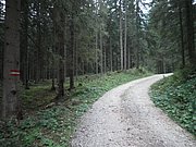 P9120003.JPG