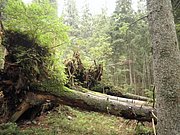 P9120009.JPG