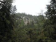 P9120010.JPG