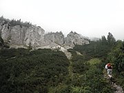 P9120017.JPG