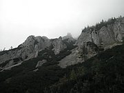 P9120018.JPG