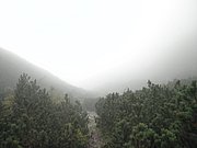 P9120027.JPG