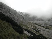 P9120028.JPG