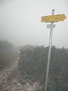 P9120038.JPG