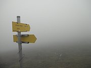 P9120043.JPG