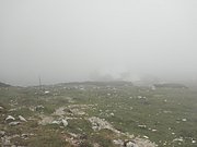 P9120051.JPG