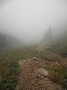 P9120063.JPG