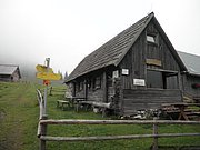 P9120073.JPG