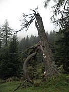 P9120076.JPG