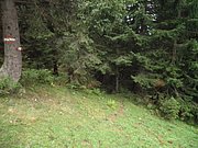 P9120079.JPG