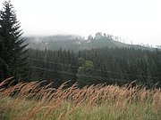P9120082.JPG