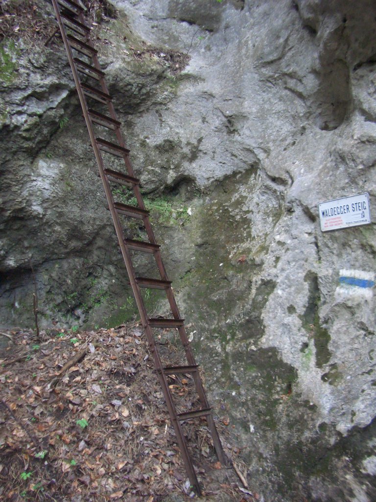 CIMG4414.JPG