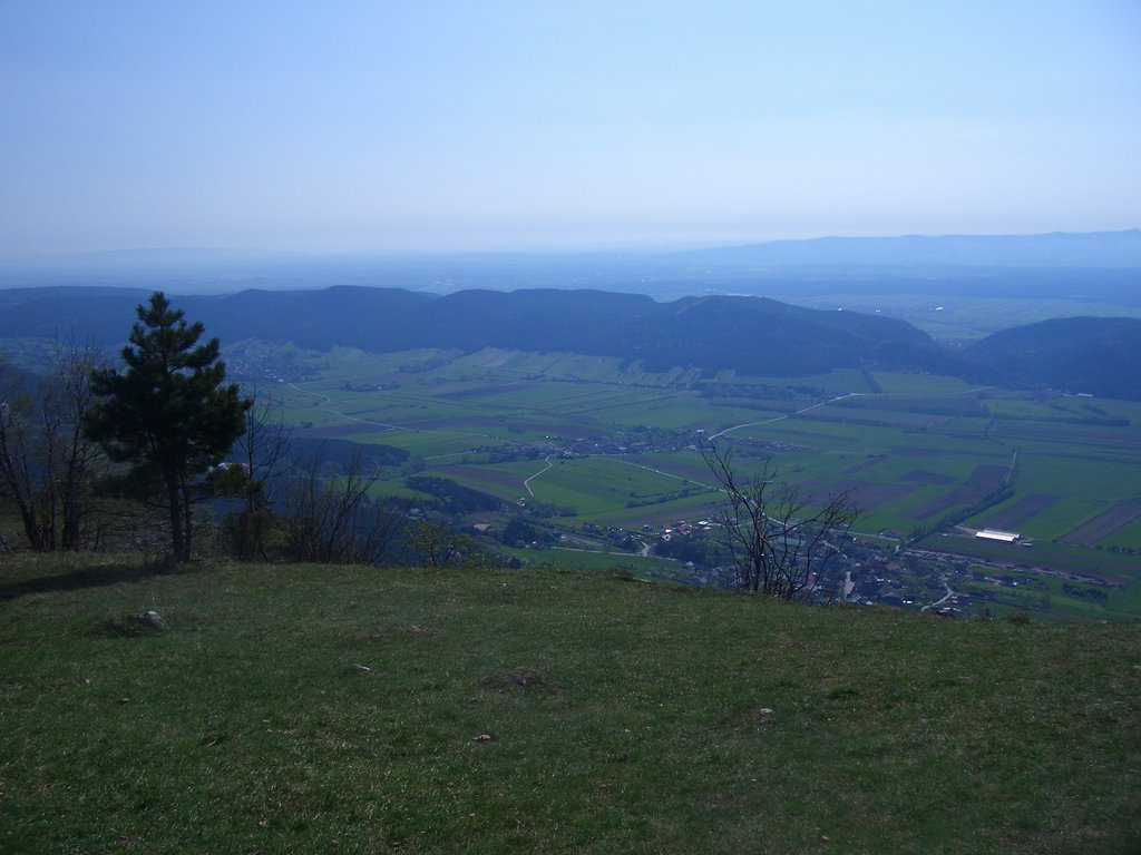 CIMG4467.JPG