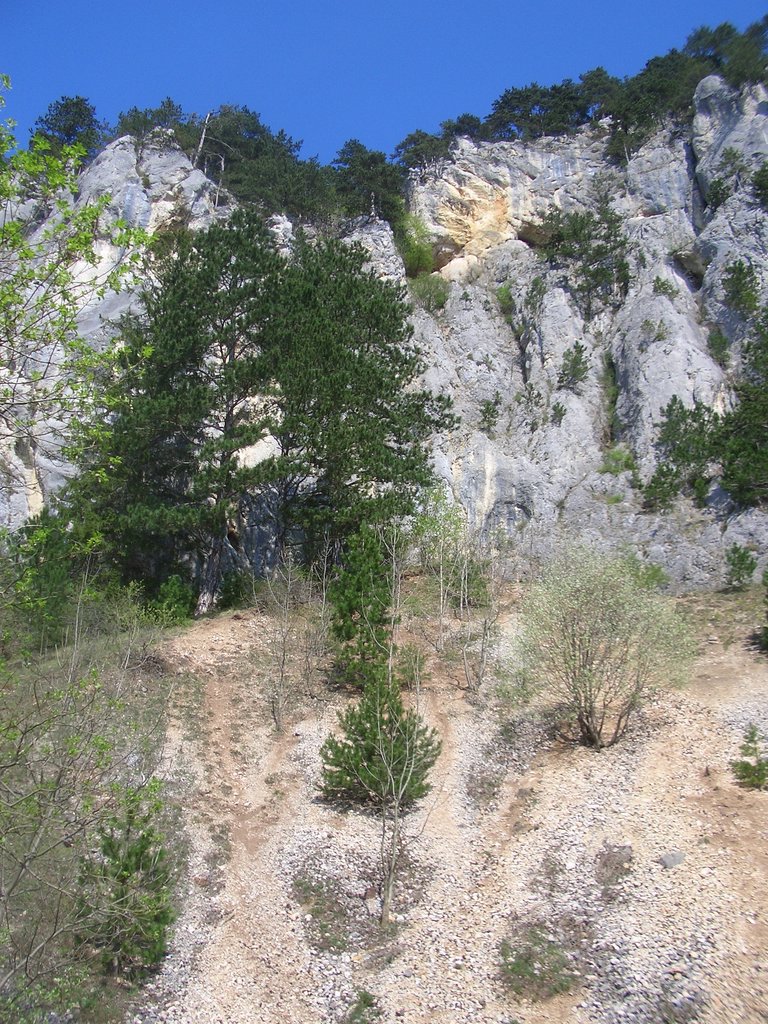 CIMG4478.JPG
