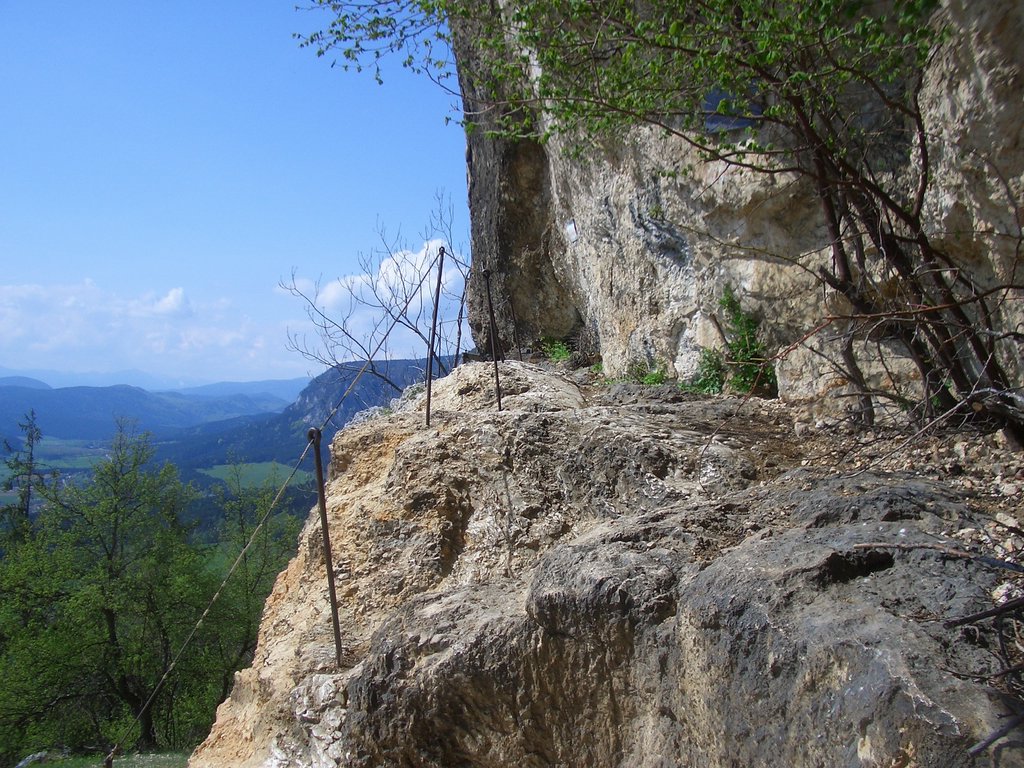 CIMG4484.JPG