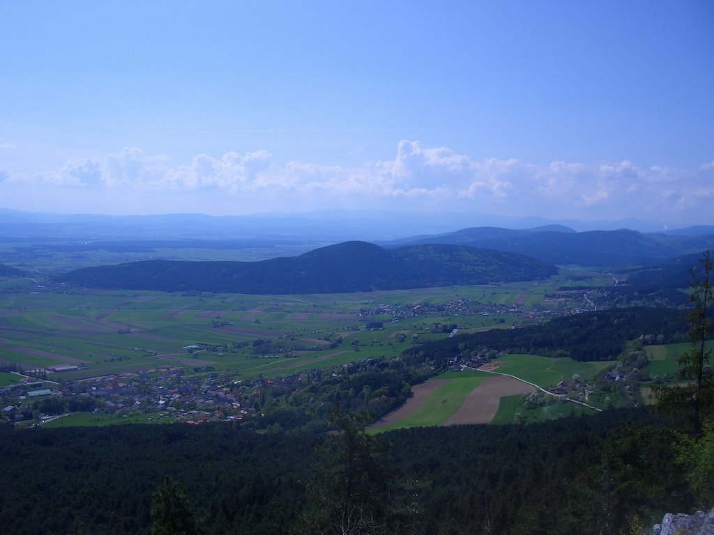 CIMG4487.JPG