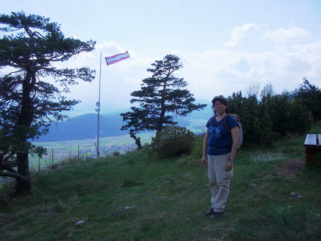 CIMG4497.JPG