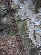 CIMG4414.JPG