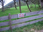 CIMG4421.JPG