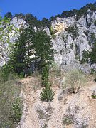 CIMG4478.JPG
