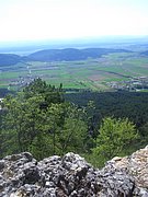 CIMG4480.JPG