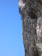 CIMG4488.JPG
