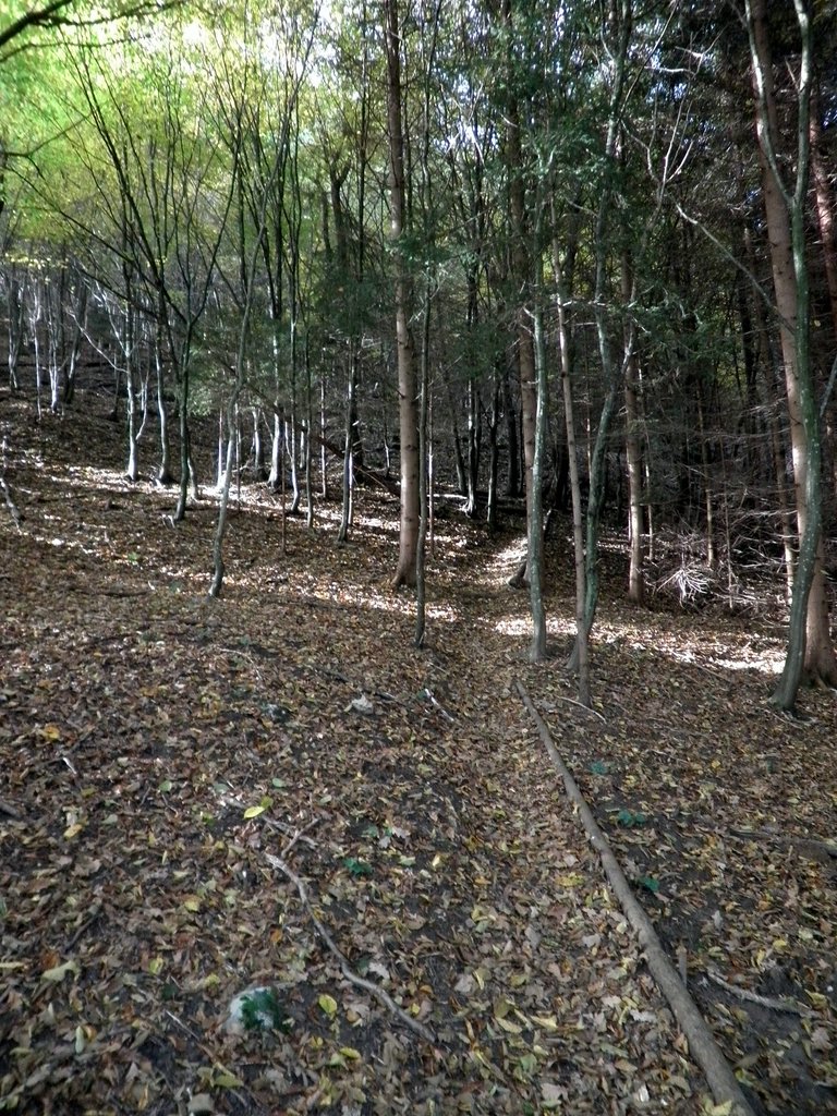 PA090005.JPG