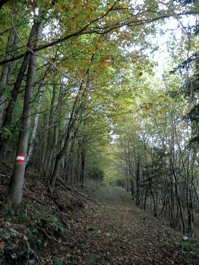 PA090007.JPG